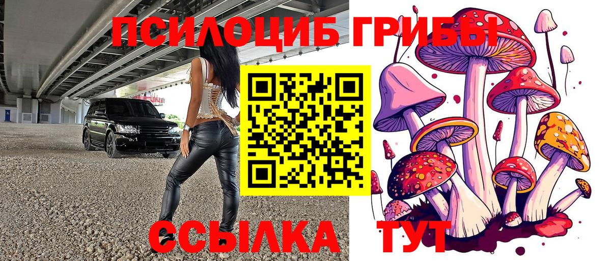 Куйбышев  Псилоцибиновые грибы Cubensis  Вход с VPN 