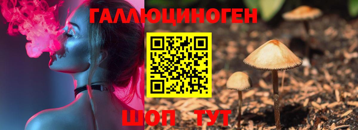 Галлюциногенные грибы прущие грибы Куйбышев